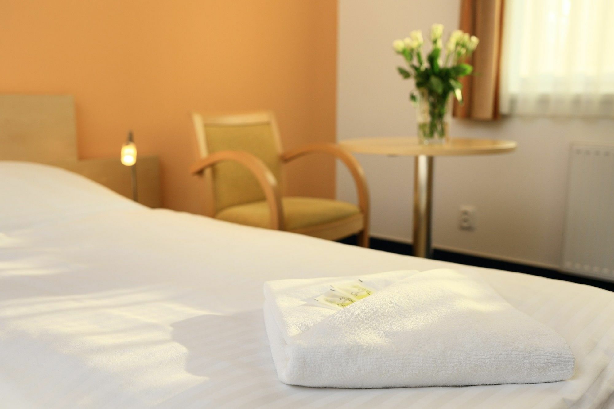Penzion Krumlov - Massage Studio Чешки Крумлов Екстериор снимка
